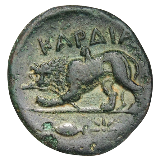 реверс CN Type cn.cardia.2_ed.10