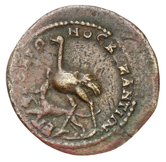 реверс CN Type cn.byzantium.1_ed.269