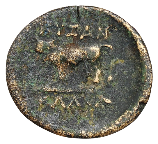 coin rev