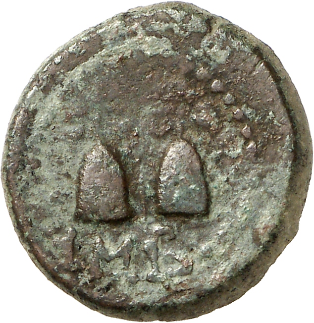 reverse CN Type cn.imbros.1_ed.28