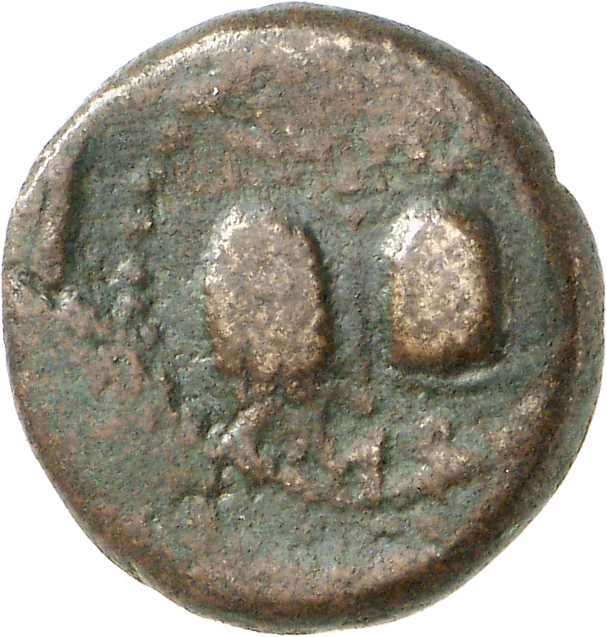 реверс CN Type cn.imbros.1_ed.28