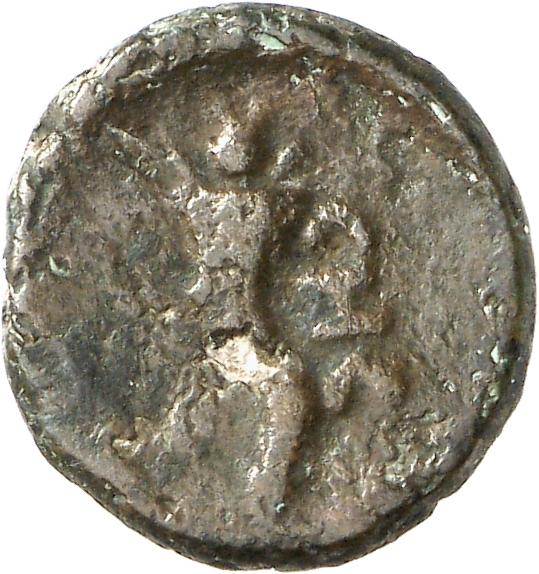 реверс CN Type cn.sestus.1_ed.74