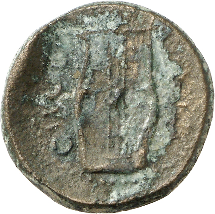 реверс CN Type cn.sestus.1_ed.78