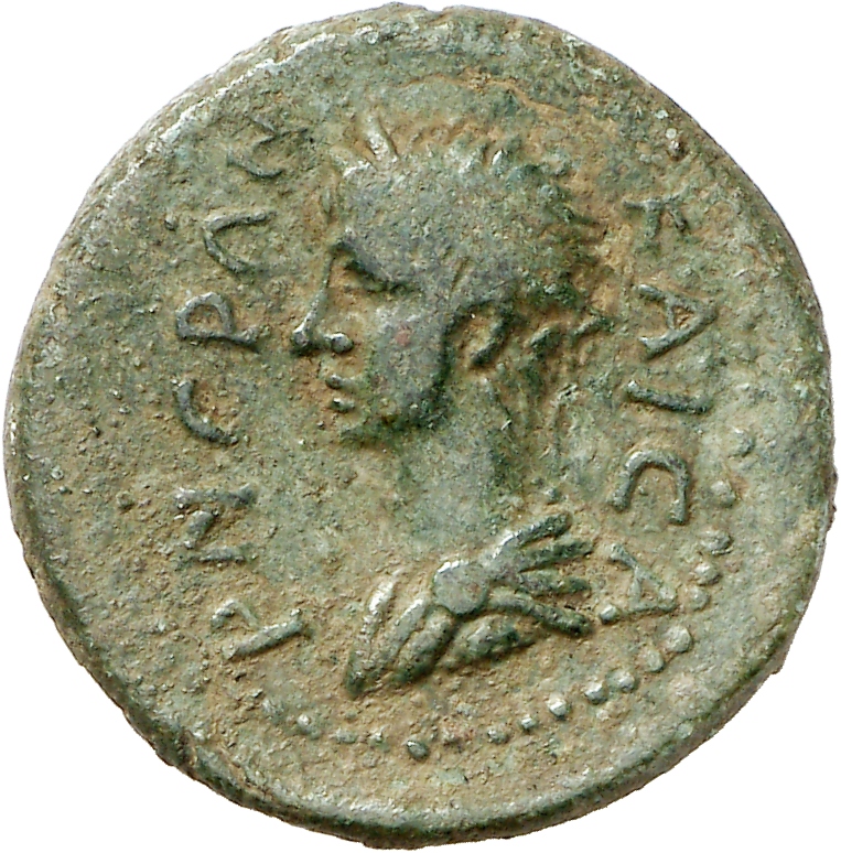 CN Type cn.sestus.1_ed.79, аверс, cn-coins