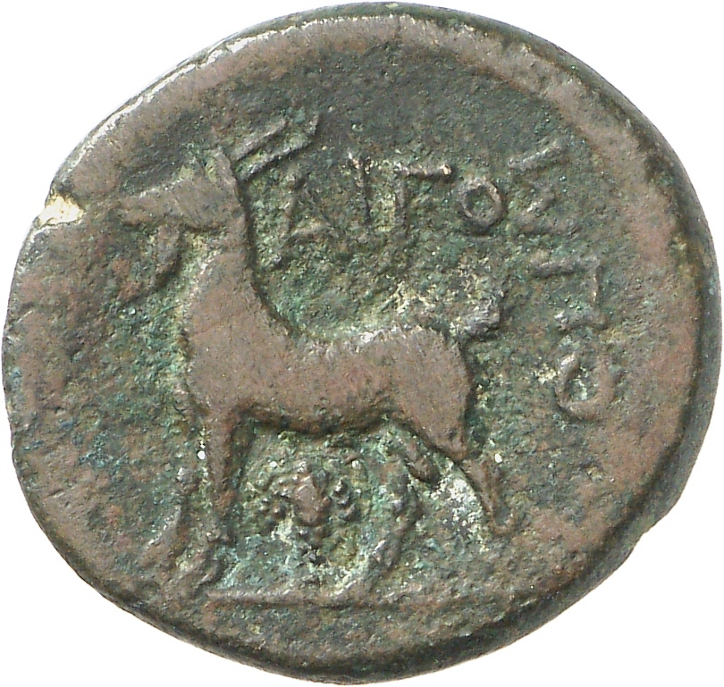 CN Type cn.aegospotami.1_ed.1, реверс, cn-coins