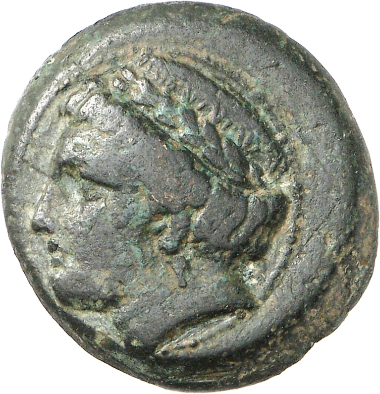 CN Type cn.aegospotami.1_ed.2, аверс, cn-coins