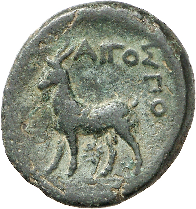 CN Type cn.aegospotami.1_ed.2, реверс, cn-coins