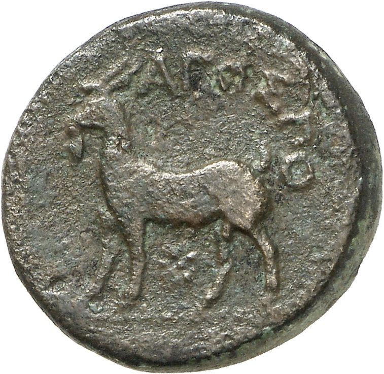 CN Type cn.aegospotami.1_ed.2, реверс, cn-coins