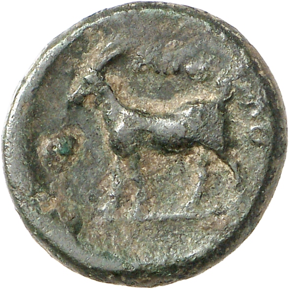 coin rev