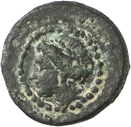 CN Type cn.aegospotami.1_ed.5, аверс, cn-coins