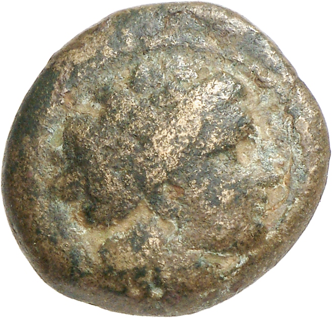CN Type cn.alopeconnesus.1_ed.1, аверс, cn-coins