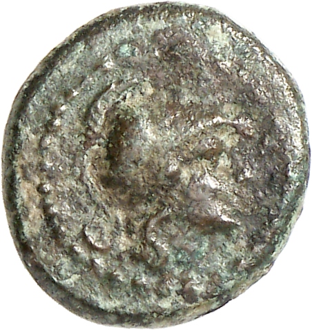 CN Type cn.alopeconnesus.1_ed.16, аверс, cn-coins