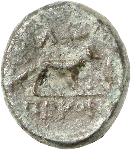 CN Type cn.alopeconnesus.1_ed.16, реверс, cn-coins