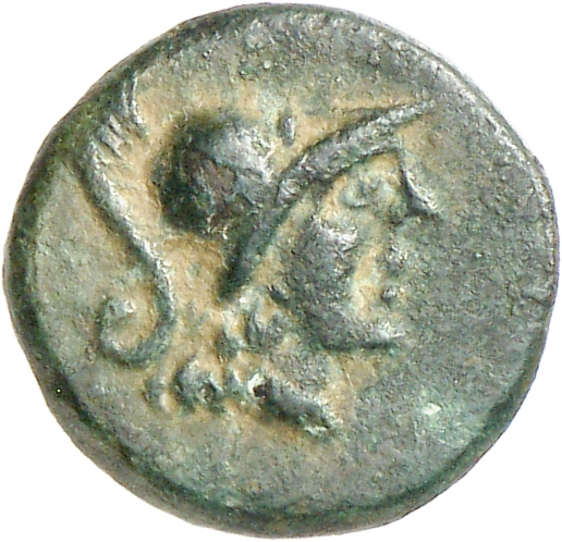 CN Type cn.alopeconnesus.1_ed.15, аверс, cn-coins