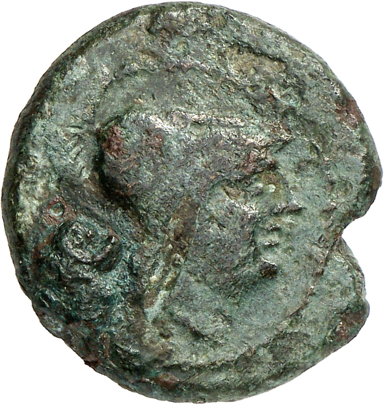 CN Type cn.alopeconnesus.1_ed.22, аверс, cn-coins
