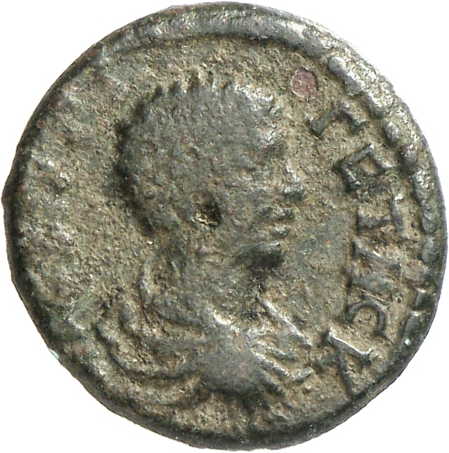 CN Type cn.augusta_trajana.1_ed.303, аверс, cn-coins