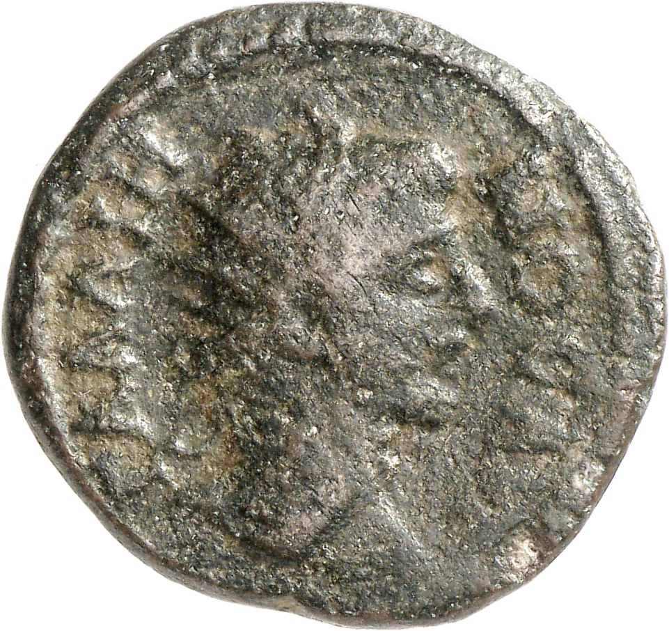 CN Type cn.augusta_trajana.1_ed.388, аверс, cn-coins