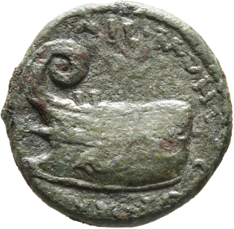 reverse CN Type cn.coela.1_ed.12