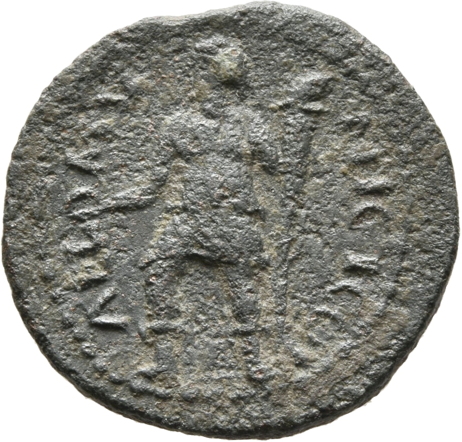 реверс CN Type cn.coela.1_ed.120