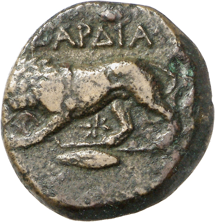 реверс CN Type cn.cardia.2_ed.12