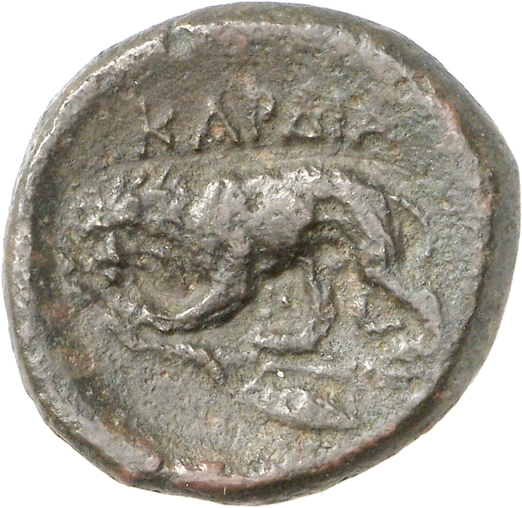 реверс CN Type cn.cardia.1_ed.10