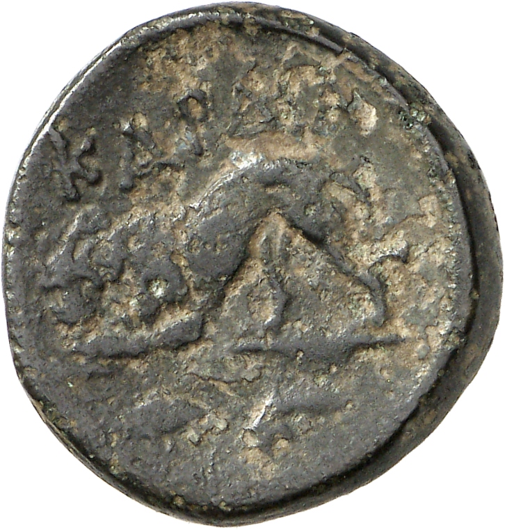 реверс CN Type cn.cardia.1_ed.12