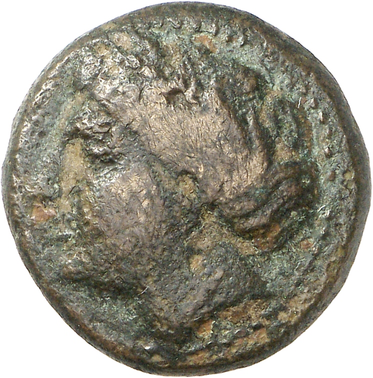 CN Type cn.cardia.1_ed.12, аверс, cn-coins