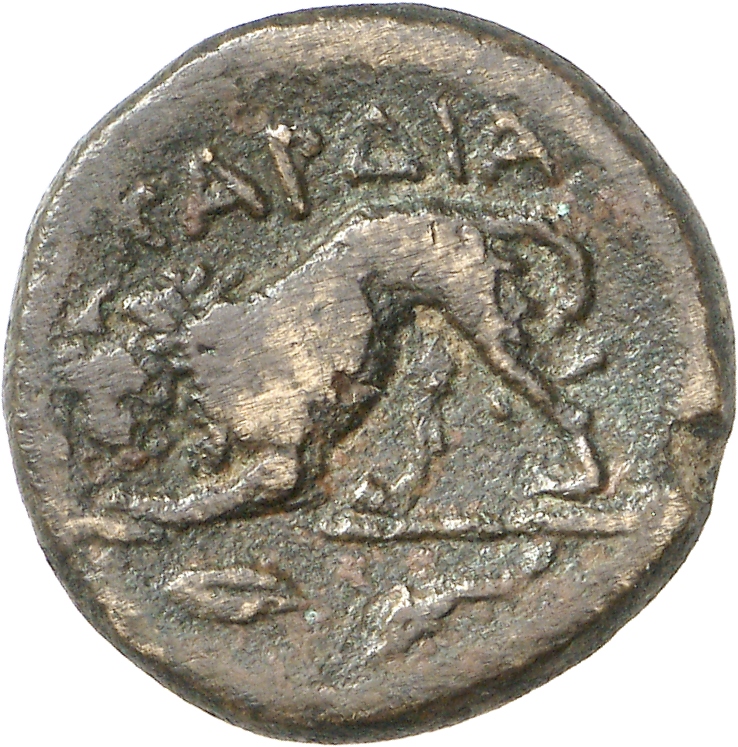 CN Type cn.cardia.1_ed.12, реверс, cn-coins