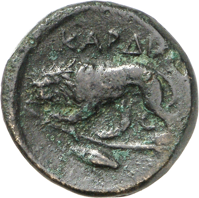 CN Type cn.cardia.2_ed.11, реверс, cn-coins