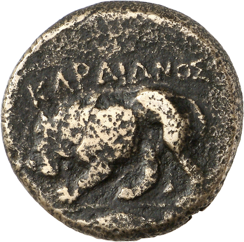 CN Type cn.cardia.2_ed.6, реверс, cn-coins