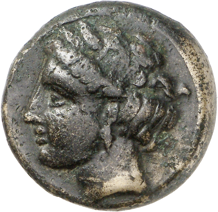 obverse CN Type cn.cardia.2_ed.6