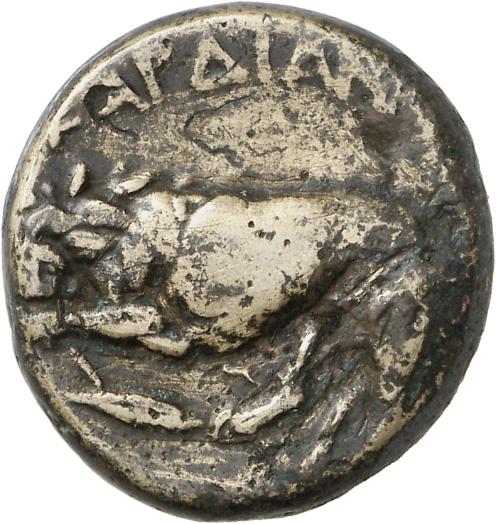 reverse CN Type cn.cardia.2_ed.6