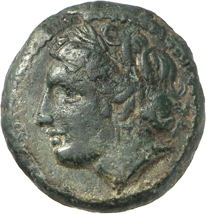 CN Type cn.cardia.2_ed.5, аверс, cn-coins