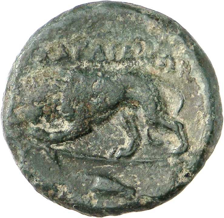 CN Type cn.cardia.2_ed.5, реверс, cn-coins