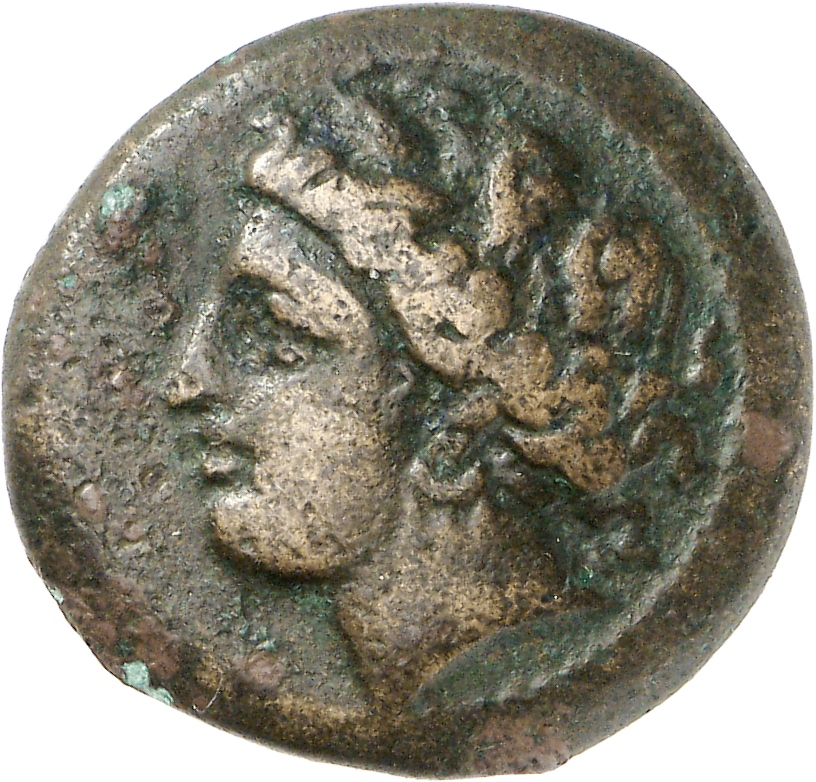 obverse CN Type cn.cardia.2_ed.5