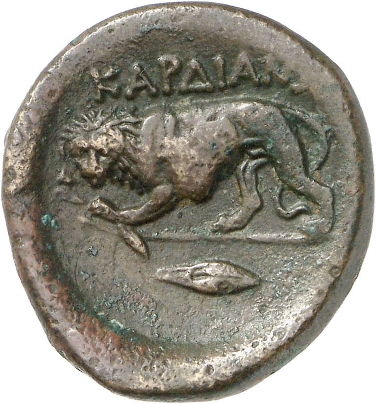 reverse CN Type cn.cardia.2_ed.5