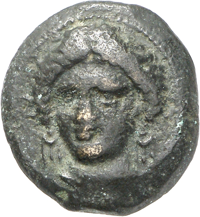 obverse CN Type cn.cardia.2_ed.2
