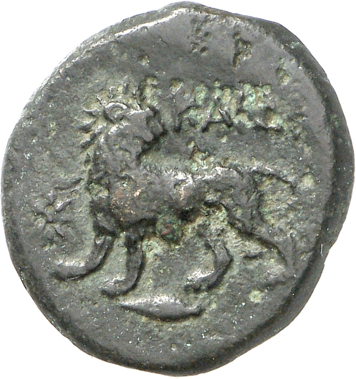 reverse CN Type cn.cardia.2_ed.2