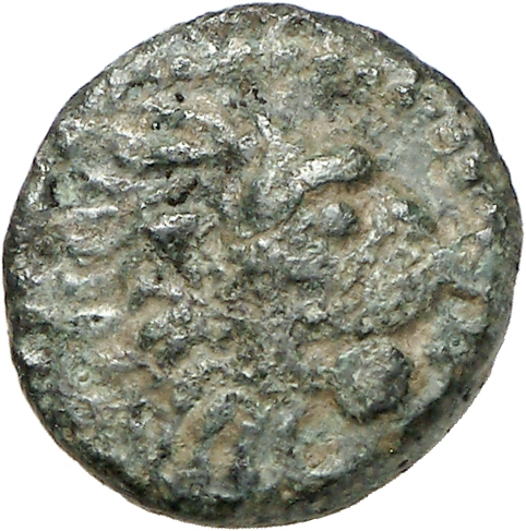 CN Type cn.cardia.2_ed.26, аверс, cn-coins