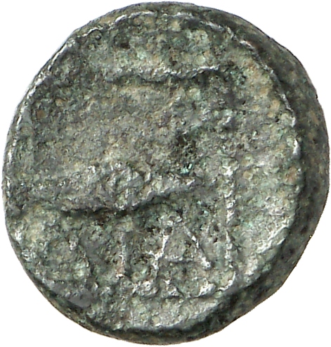 CN Type cn.cardia.2_ed.26, реверс, cn-coins