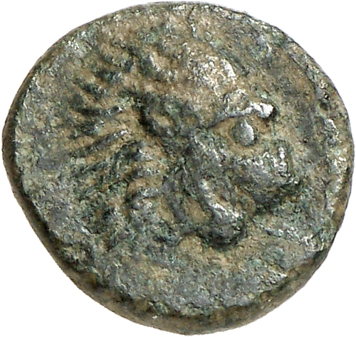 CN Type cn.cardia.2_ed.26, аверс, cn-coins