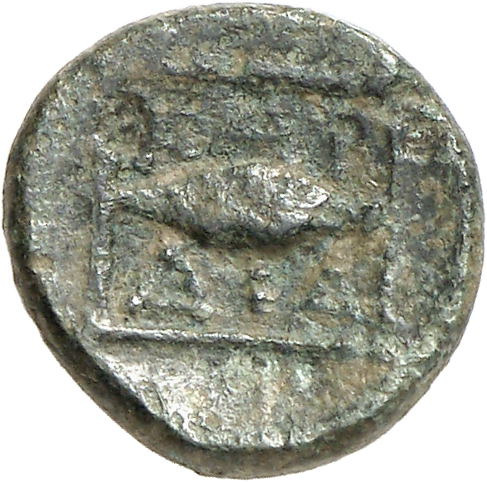 CN Type cn.cardia.2_ed.26, реверс, cn-coins