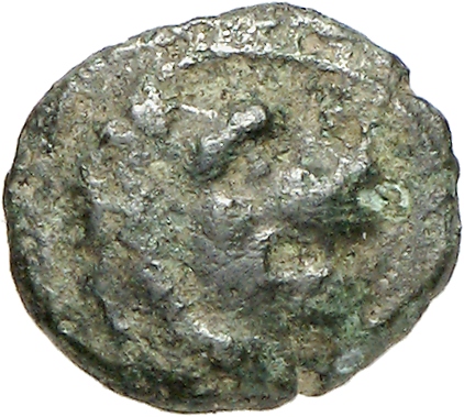 CN Type cn.cardia.2_ed.26, аверс, cn-coins