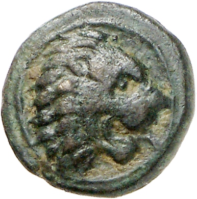 obverse CN Type cn.cardia.2_ed.26
