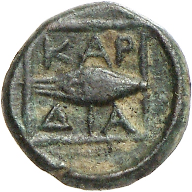 reverse CN Type cn.cardia.2_ed.26