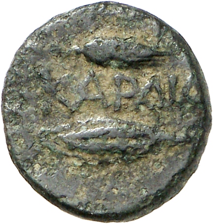 CN Type cn.cardia.2_ed.32, реверс, cn-coins