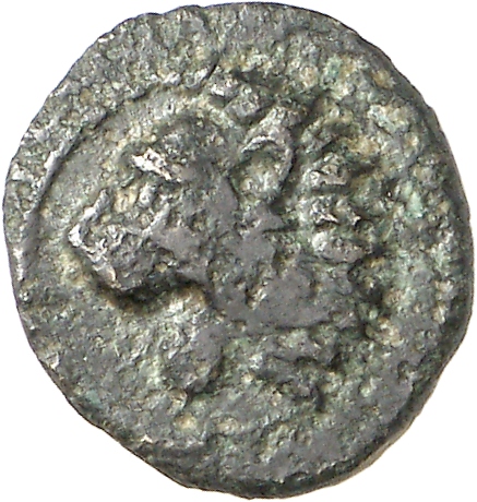 obverse CN Type cn.cardia.2_ed.32