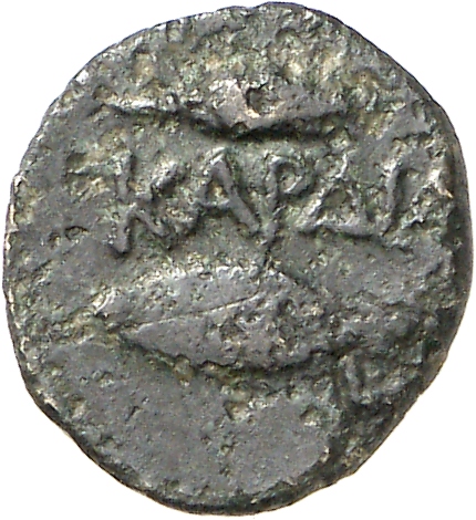 reverse CN Type cn.cardia.2_ed.32