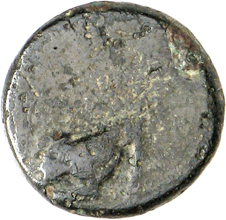 CN Type cn.cardia.2_ed.24, аверс, cn-coins