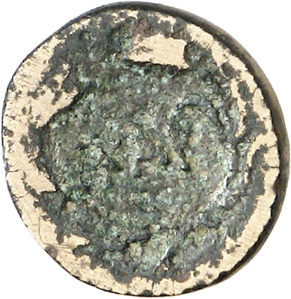 reverse CN Type cn.cardia.2_ed.24